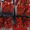 В Бресте стартовал сезон продажи ягоды - фото