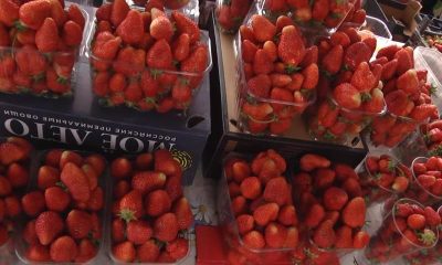 В Бресте стартовал сезон продажи ягоды - фото