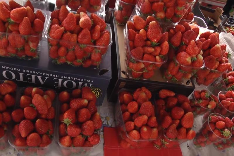 В Бресте стартовал сезон продажи ягоды - фото