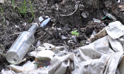 Стихийные свалки мусора под Витебском - фото