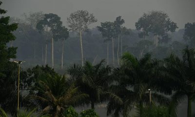 В лесах Амазонии зафиксировали рекордное количество пожаров - Фото