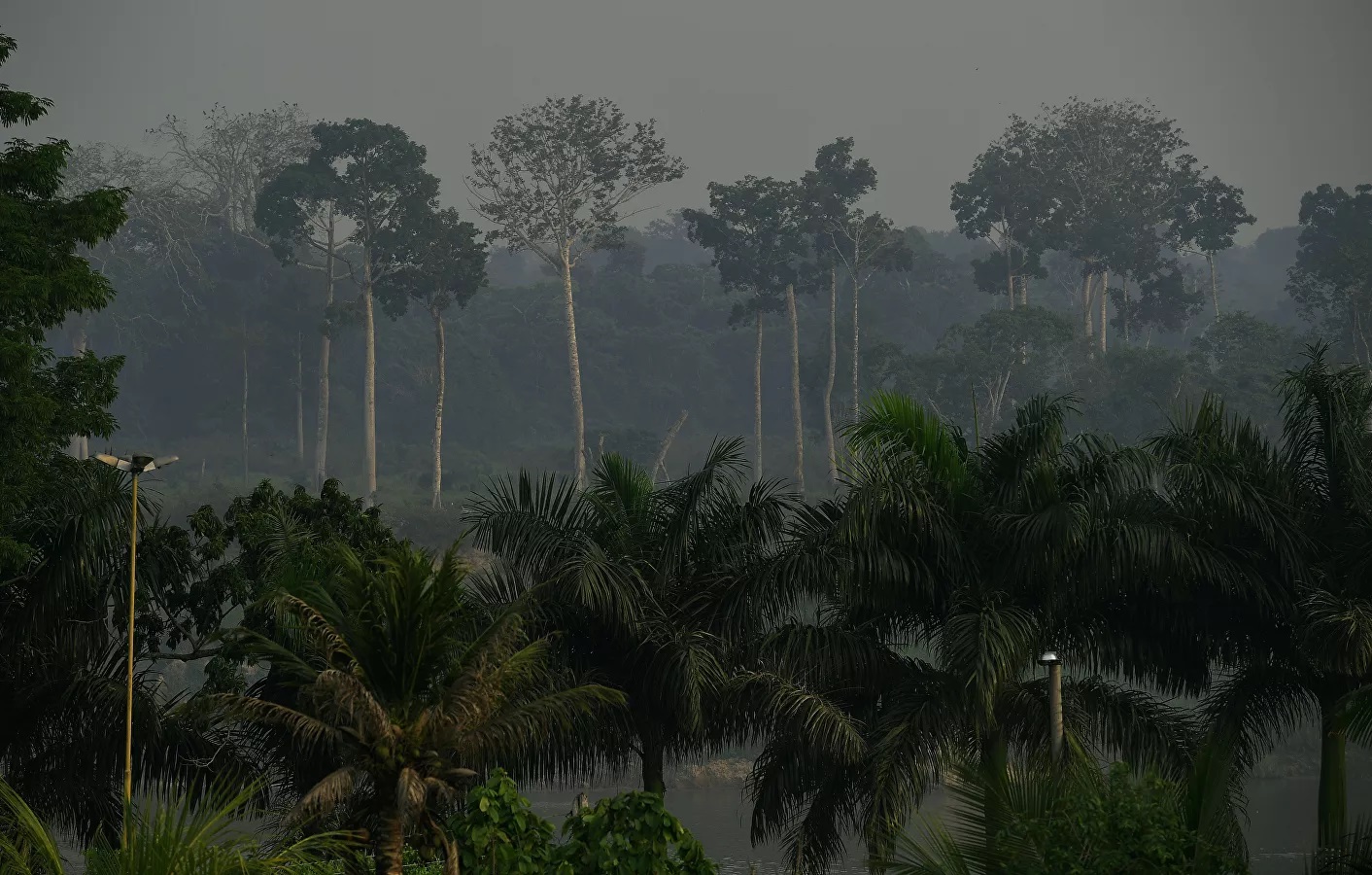 В лесах Амазонии зафиксировали рекордное количество пожаров - Фото