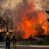 В Калифорнии вспыхнул лесной пожар площадью около 4,5 км² - Фото