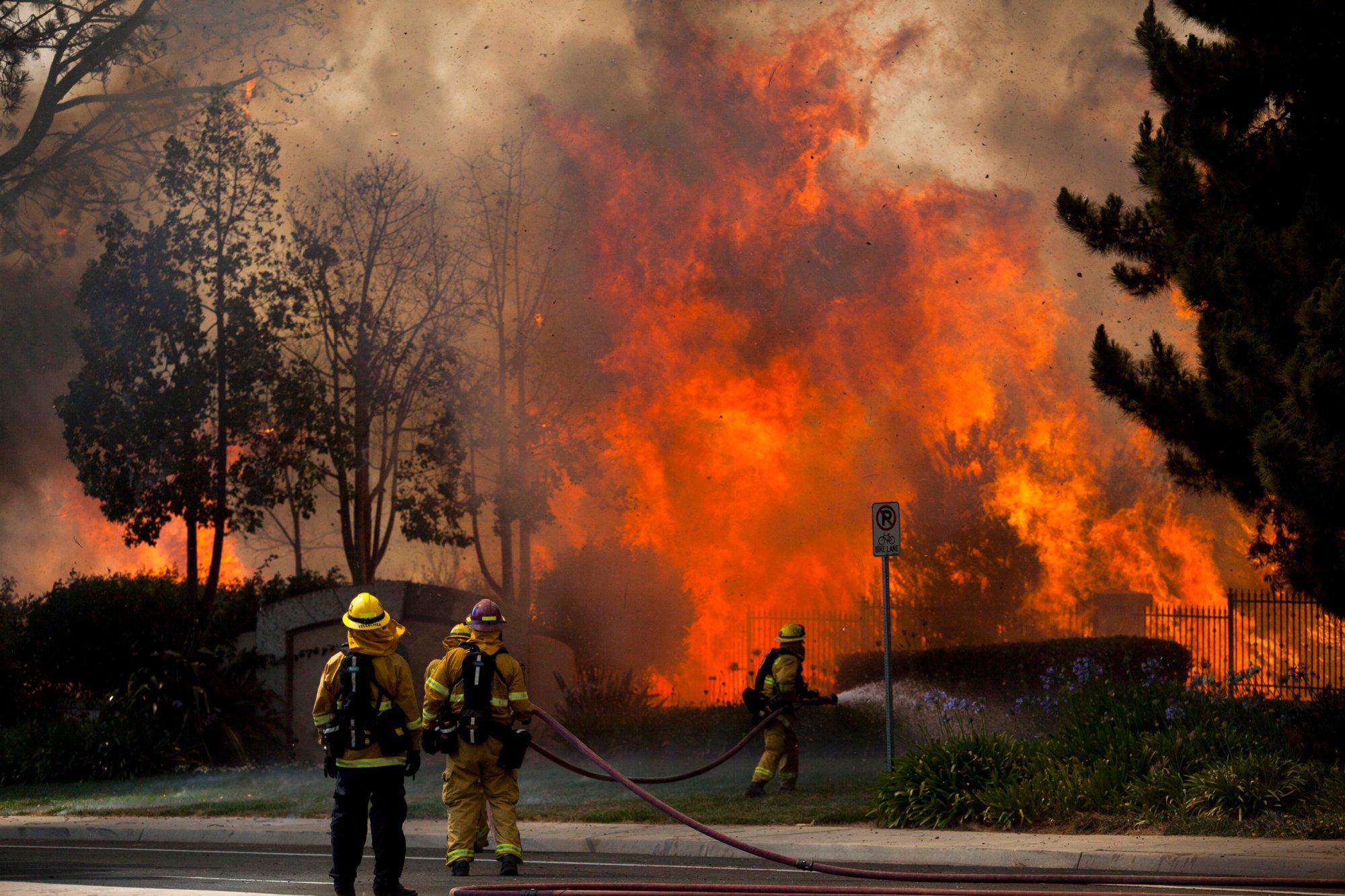 В Калифорнии вспыхнул лесной пожар площадью около 4,5 км² - Фото