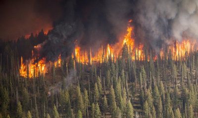 Климатологи обеспокоены лесными пожарами и рекордными температурами в Сибири - Фото