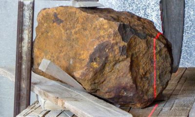 Найден крупнейший в Германии каменный метеорит - Фото