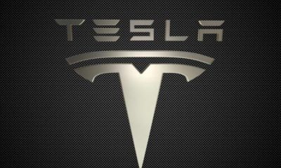 Tesla может начать строительство своего завода в Германии без экологического одобрения - Фото