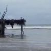 Вдоль побережья Мексики проходит ураган «Женевьева» - Фото