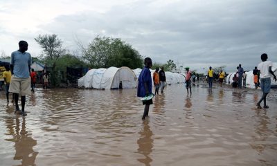 В Судане от наводнений и ливней погибли не менее 65 человек - Фото