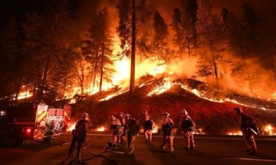 В Калифорнии тысячи пожарных тушат более двух десятков лесных пожаров - Фото