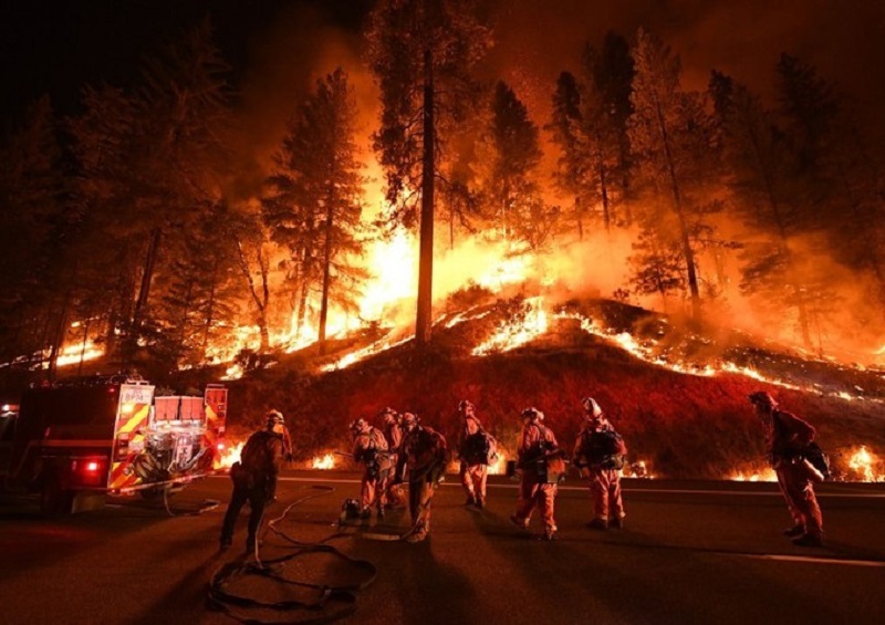 В Калифорнии тысячи пожарных тушат более двух десятков лесных пожаров - Фото