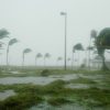 12 человек погибли на Гаити и в Доминикане из-за тропического шторма «Лаура» - Фото