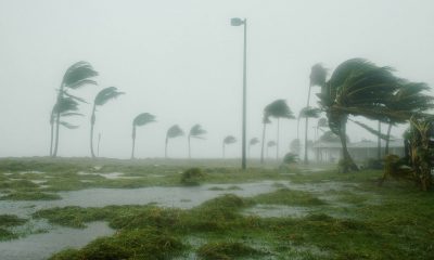 12 человек погибли на Гаити и в Доминикане из-за тропического шторма «Лаура» - Фото