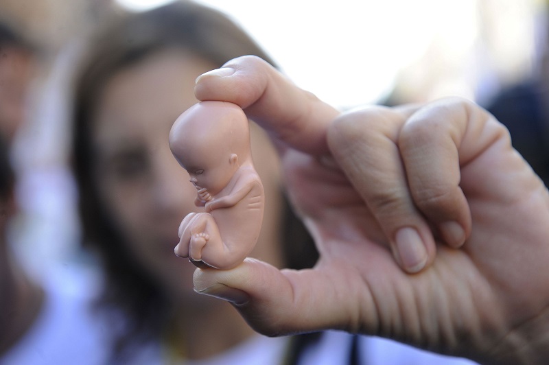 Бразилия еще больше ужесточила закон об абортах - Фото