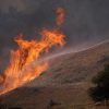 Природные пожары в Калифорнии унесли жизни 3 человек - Фото