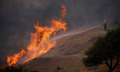 Природные пожары в Калифорнии унесли жизни 3 человек - Фото