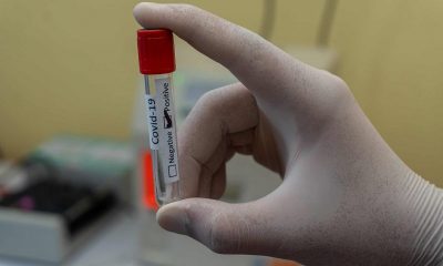 В Россия выявили 8135 новых случаев коронавируса - Фото