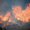 Число погибших в результате лесных пожаров в Калифорнии возросло до 7 - Фото