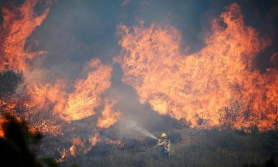 Число погибших в результате лесных пожаров в Калифорнии возросло до 7 - Фото