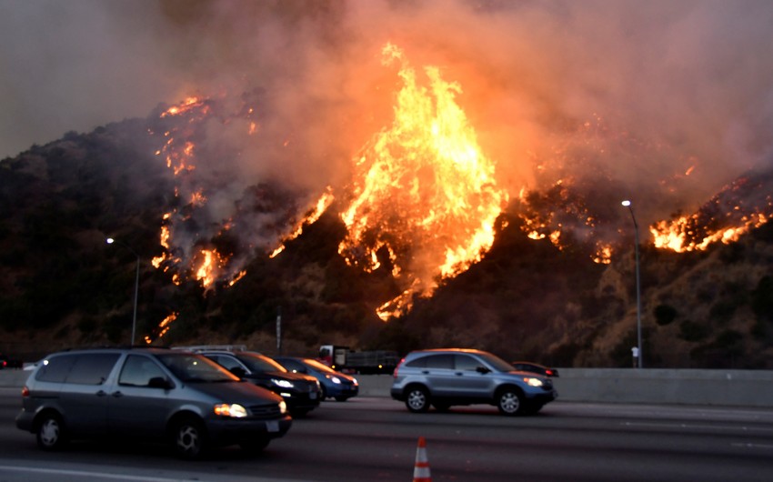 Уже 26 человек стали жертвами лесных пожаров в США - Фото