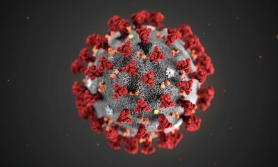Главное о коронавирусе в мире на 22 октября - Фото