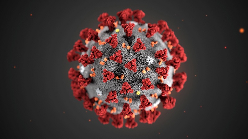 Главное о коронавирусе в мире на 22 октября - Фото