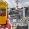 Ученые: Уровень радиации в Чернобыле опасен для пчел - Фото