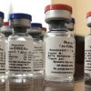 РФ поделилась с ВОЗ данными I-II фазы клинических испытаний вакцины Спутник V - Фото