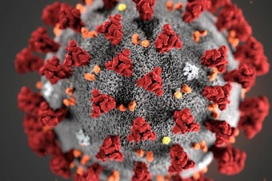 В Норвегии обнаружили новую мутацию коронавируса - Фото