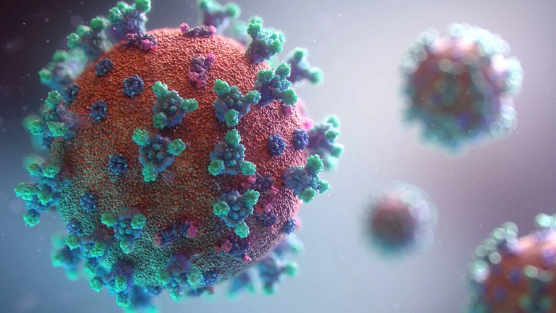 Главное о коронавирусе на 25 октября - Фото