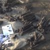 В Калужской области обнаружены останки около 70 человек, погибших во время ВОВ - Фото