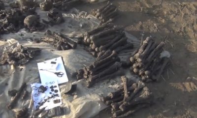 В Калужской области обнаружены останки около 70 человек, погибших во время ВОВ - Фото