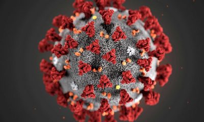 Число заразившихся коронавирусом в мире превысило 46 млн - Фото