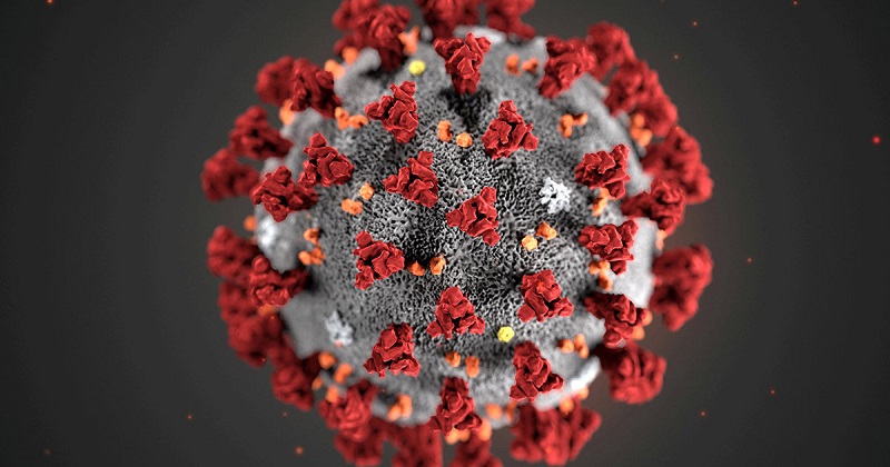 Число заразившихся коронавирусом в мире превысило 46 млн - Фото
