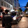 В Линце задержали подозреваемого по делу о теракте в Вене - Фото