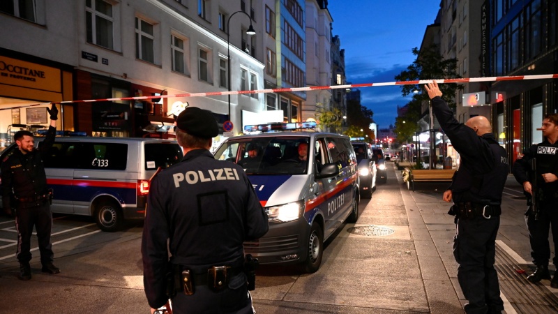 В Линце задержали подозреваемого по делу о теракте в Вене - Фото