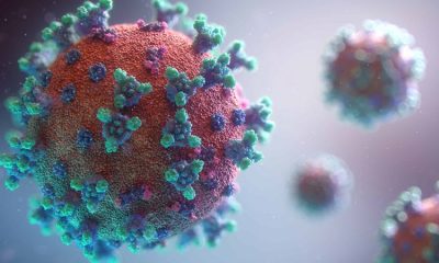 ВОЗ предупредила об угрозе третьей волны коронавируса в Европе - Фото