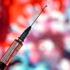 В Беларуси вакцинация от SARS-CoV-2 начнется в январе 2021 года - Фото