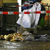 Число жертв в результате наезда на пешеходов в Трире выросло до пяти - Фото