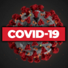 ВОЗ: число заболевших COVID-19 в мире превысило 65 миллионов - Фото