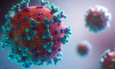 В Великобритании выявили еще один новый штамм коронавируса SARS-CoV-2 - Фото