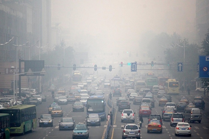 Ученые: загрязнение воздуха увеличивает риск необратимой потери зрения - Фото