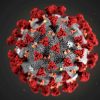 Ученые: низкие дозы радиации убивают коронавирус и его мутировавшие варианты - Фото
