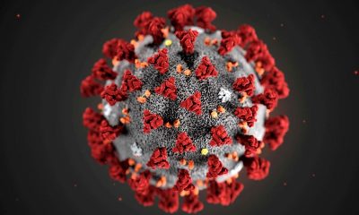 Ученые: низкие дозы радиации убивают коронавирус и его мутировавшие варианты - Фото