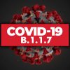 В Алжире впервые выявили британский штамм коронавируса COVID-19 - Фото