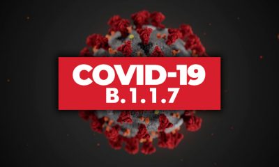 В Алжире впервые выявили британский штамм коронавируса COVID-19 - Фото
