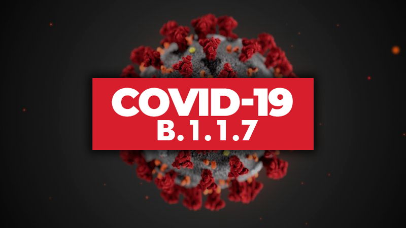 В Бельгии в настоящее время доминирует британский штамм коронавируса COVID-19 - Фото