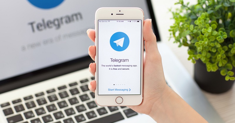 Telegram наградил аналитика, нашедшего ошибку в работе мессенджера - Фото