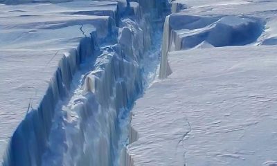 Гигантский айсберг откололся от антарктического шельфового ледника Бранта - Фото