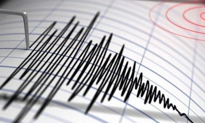 Землетрясение магнитудой 4,9 произошло в районе Курильских островов - Фото
